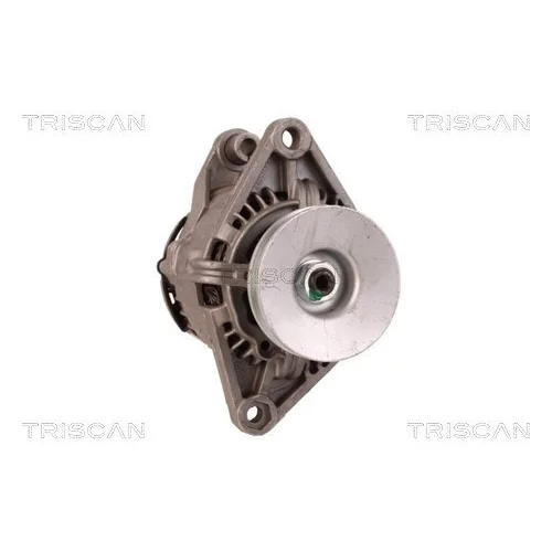 Alternátor 8310 10022 /TRISCAN/ - obr. 4
