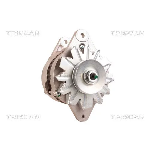 Alternátor 8310 10035 /TRISCAN/ - obr. 7