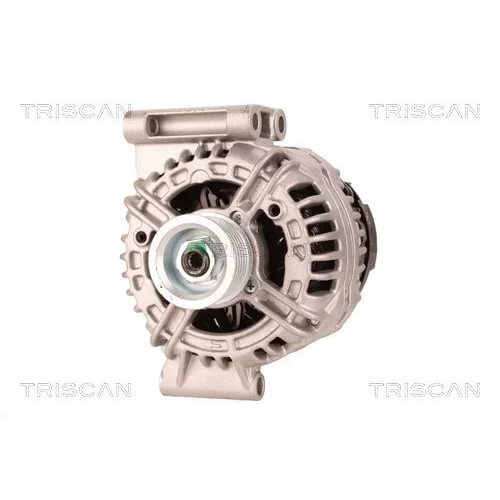 Alternátor 8310 10048 /TRISCAN/ - obr. 5