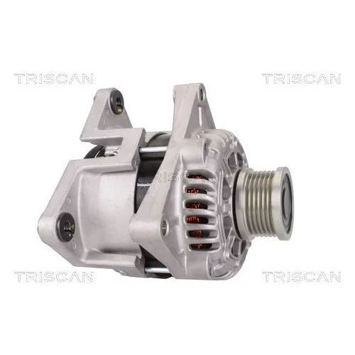 Alternátor 8310 10059 /TRISCAN/ - obr. 3