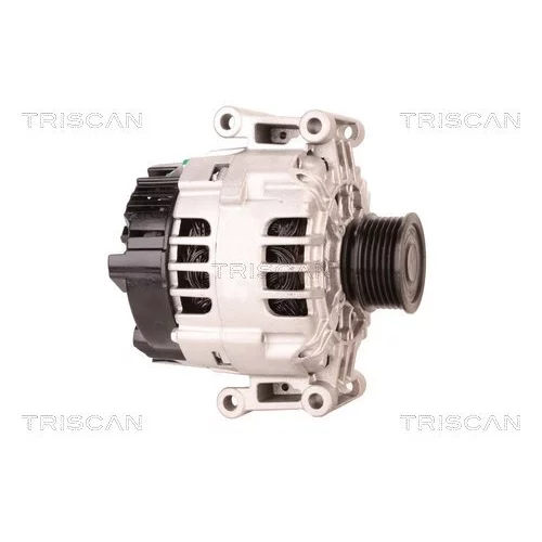 Alternátor 8310 10060 /TRISCAN/ - obr. 3