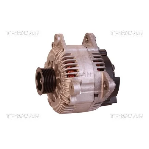 Alternátor 8310 10123 /TRISCAN/ - obr. 6