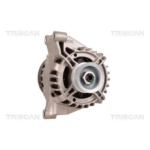 Alternátor 8310 10137 /TRISCAN/ - obr. 4