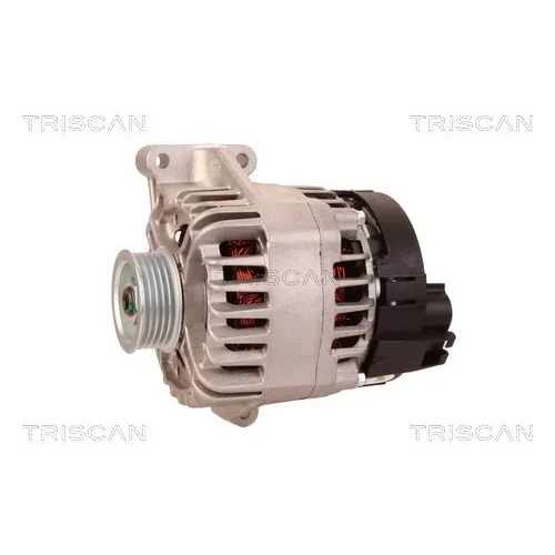 Alternátor 8310 10140 /TRISCAN/ - obr. 6