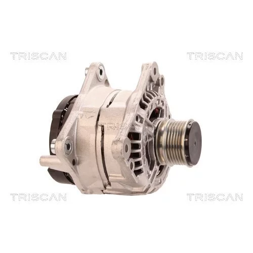 Alternátor 8310 10152 /TRISCAN/ - obr. 3
