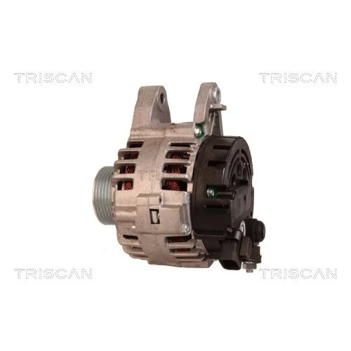 Alternátor 8310 13047 /TRISCAN/ - obr. 7