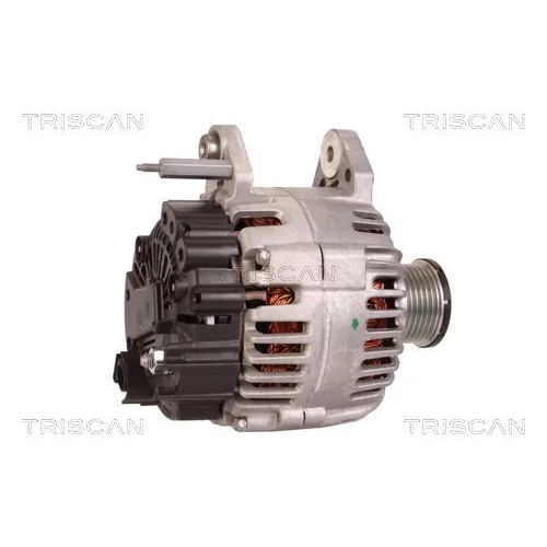 Alternátor 8310 13062 /TRISCAN/ - obr. 2