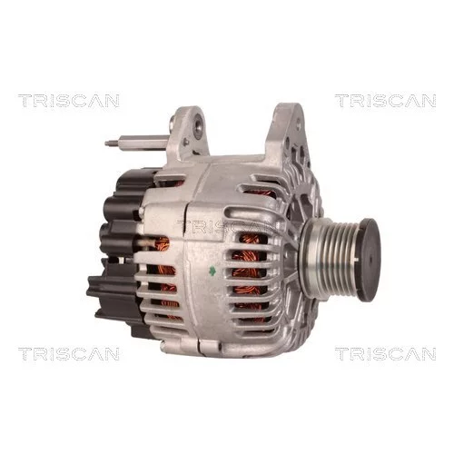 Alternátor 8310 13062 /TRISCAN/ - obr. 3