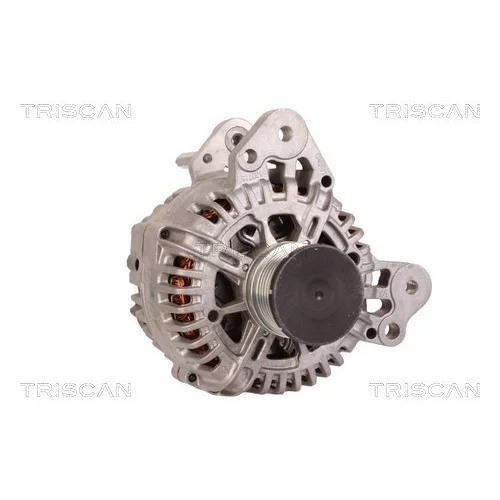 Alternátor 8310 13062 /TRISCAN/ - obr. 4