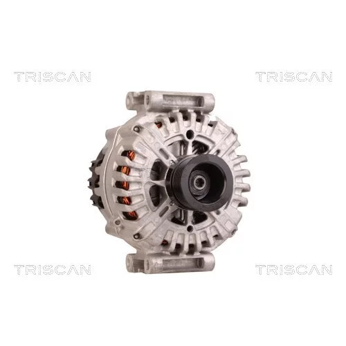 Alternátor 8310 15012 /TRISCAN/ - obr. 4
