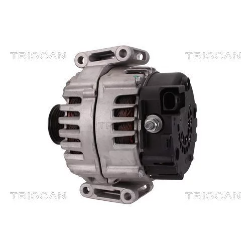 Alternátor 8310 15012 /TRISCAN/ - obr. 7