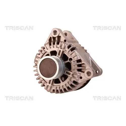 Alternátor 8310 16031 /TRISCAN/ - obr. 5