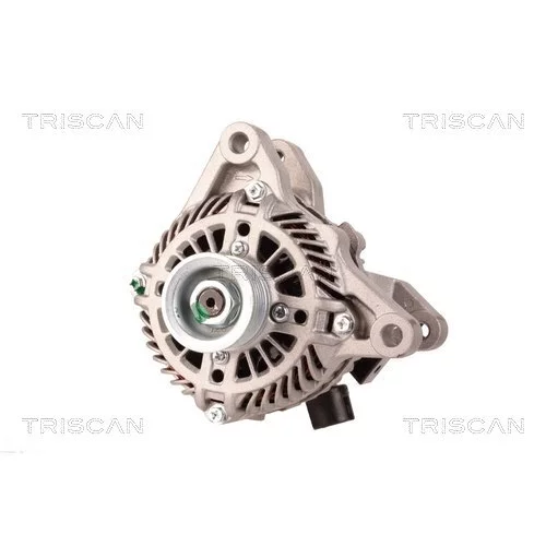 Alternátor 8310 18005 /TRISCAN/ - obr. 5
