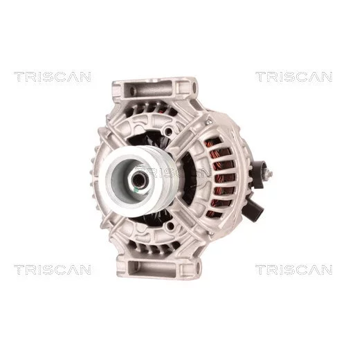 Alternátor 8310 20001 /TRISCAN/ - obr. 5