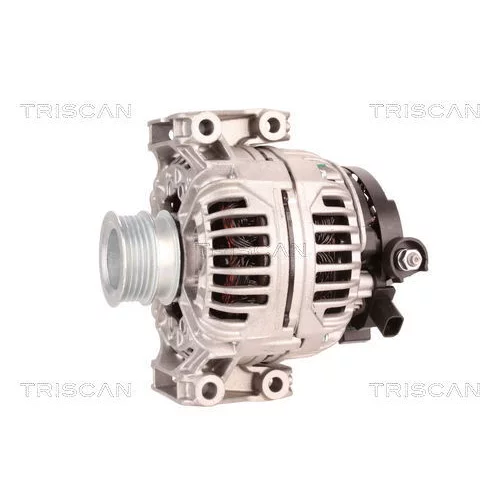 Alternátor 8310 20001 /TRISCAN/ - obr. 6