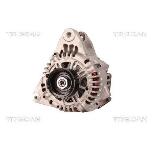 Alternátor 8310 23040 /TRISCAN/ - obr. 5