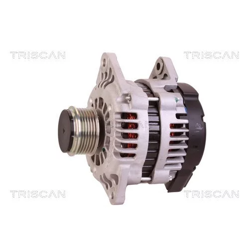 Alternátor 8310 23044 /TRISCAN/ - obr. 6