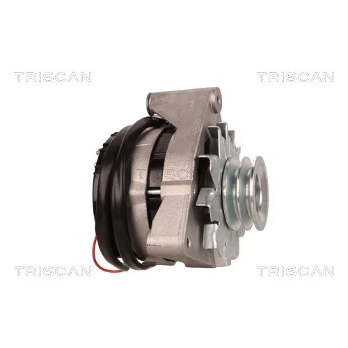 Alternátor 8310 24001 /TRISCAN/ - obr. 6