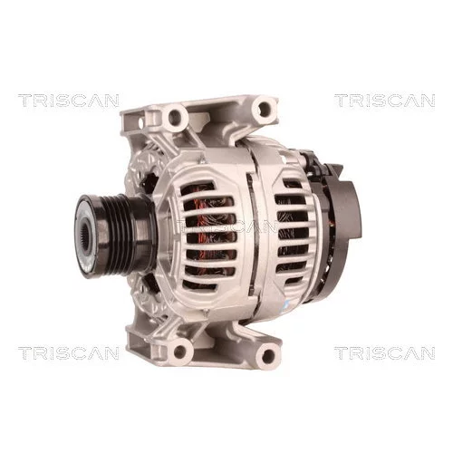 Alternátor 8310 24006 /TRISCAN/ - obr. 6