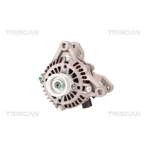 Alternátor 8310 24020 /TRISCAN/ - obr. 5