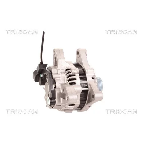 Alternátor 8310 24021 /TRISCAN/ - obr. 2