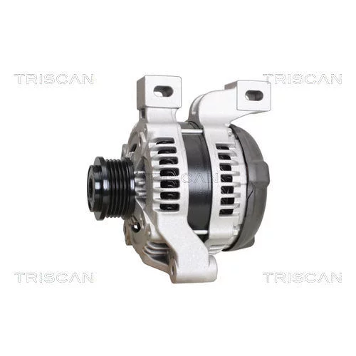 Alternátor 8310 25010 /TRISCAN/ - obr. 6