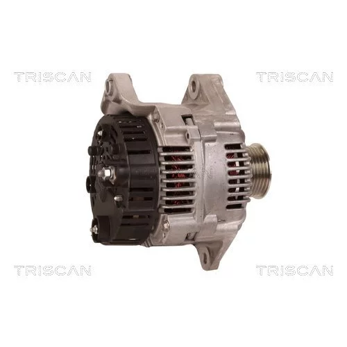 Alternátor 8310 25018 /TRISCAN/ - obr. 2