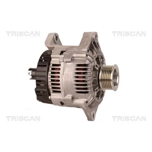 Alternátor 8310 25018 /TRISCAN/ - obr. 3