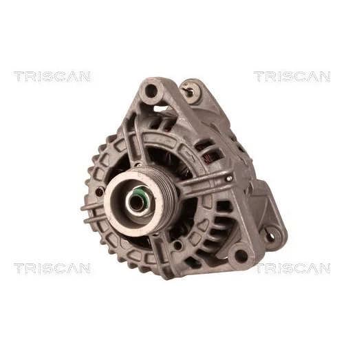 Alternátor 8310 25028 /TRISCAN/ - obr. 5