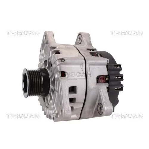Alternátor 8310 25032 /TRISCAN/ - obr. 6