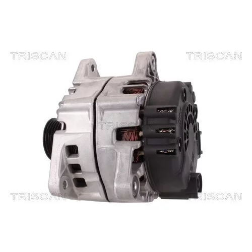 Alternátor 8310 25032 /TRISCAN/ - obr. 7