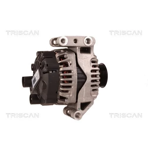 Alternátor 8310 29036 /TRISCAN/ - obr. 2