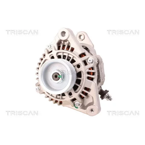 Alternátor 8310 29043 /TRISCAN/ - obr. 5