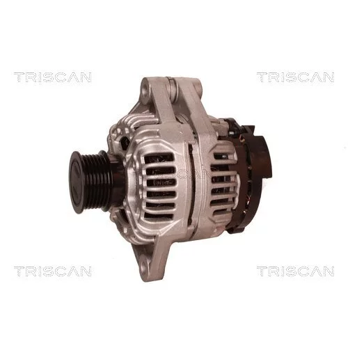 Alternátor 8310 68009 /TRISCAN/ - obr. 6