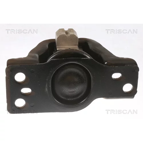 Uloženie motora 8505 14100 /TRISCAN/ - obr. 1