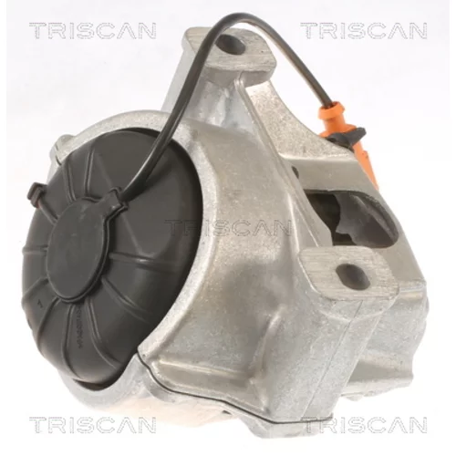 Uloženie motora TRISCAN 8505 29133