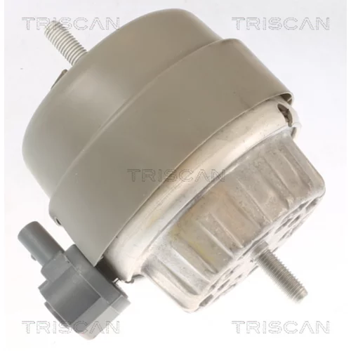 Uloženie motora TRISCAN 8505 29174