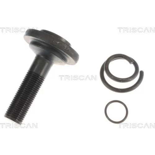 Hnací hriadeľ 8540 11601 /TRISCAN/ - obr. 3