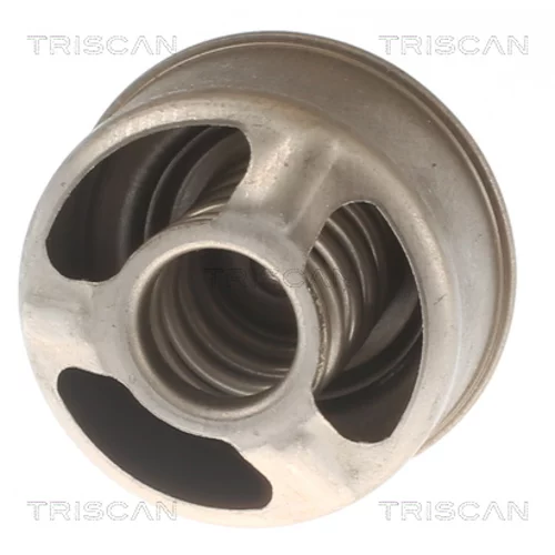 Termostat chladenia 8620 13091 /TRISCAN/ - obr. 1