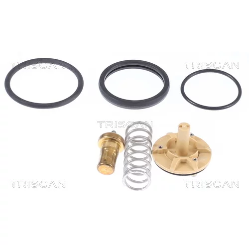 Termostat chladenia TRISCAN 8620 33083