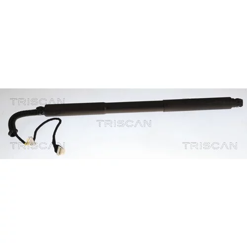 Pneumatická pružina, Batožinový/nákladný priestor TRISCAN 8710 11375