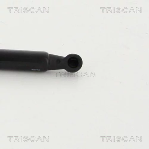 Pneumatická pružina, Batožinový/nákladný priestor 8710 13284 /TRISCAN/ - obr. 2
