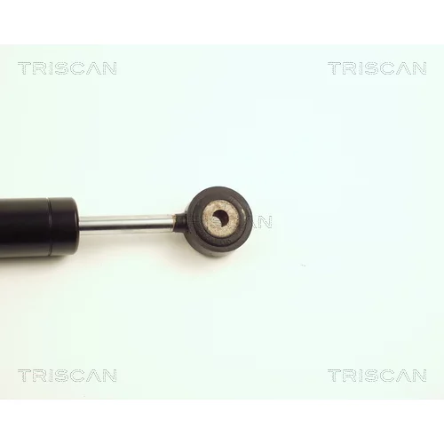 Tlmič vibrácií rebrovaného klinového remeňa 8710 23400 /TRISCAN/ - obr. 2