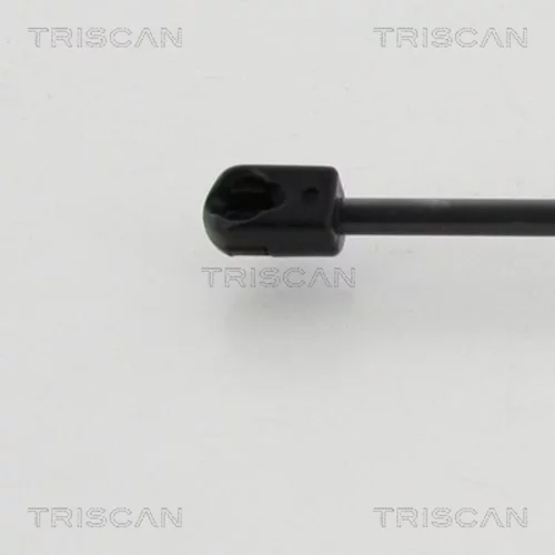 Pneumatická pružina, Batožinový/nákladný priestor 8710 24252 /TRISCAN/ - obr. 1