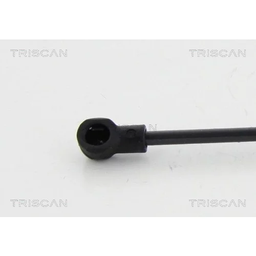 Plynová vzpera pre zadné sklo 8710 24253 /TRISCAN/ - obr. 1