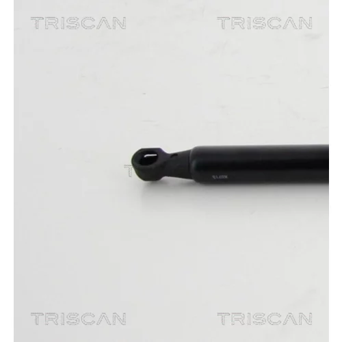 Pneumatická pružina, Batožinový/nákladný priestor 8710 24254 /TRISCAN/ - obr. 1