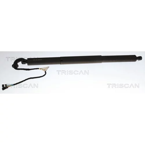 Pneumatická pružina, Batožinový/nákladný priestor TRISCAN 8710 24306