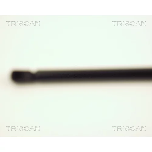 Pneumatická pružina, Batožinový/nákladný priestor 8710 28203 /TRISCAN/ - obr. 1