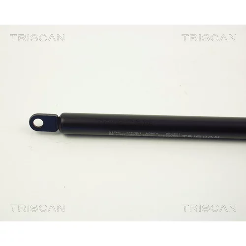 Pneumatická pružina, Batožinový/nákladný priestor 8710 2902 /TRISCAN/ - obr. 1