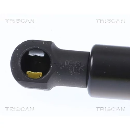 Pneumatická pružina, Batožinový/nákladný priestor 8710 292058 /TRISCAN/ - obr. 1